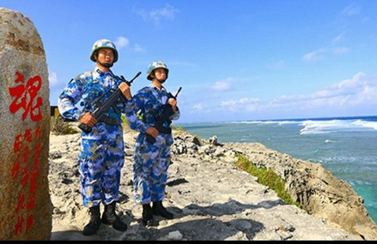 用一体化机芯守护湿地生态:智能视觉如何平衡监测与保护